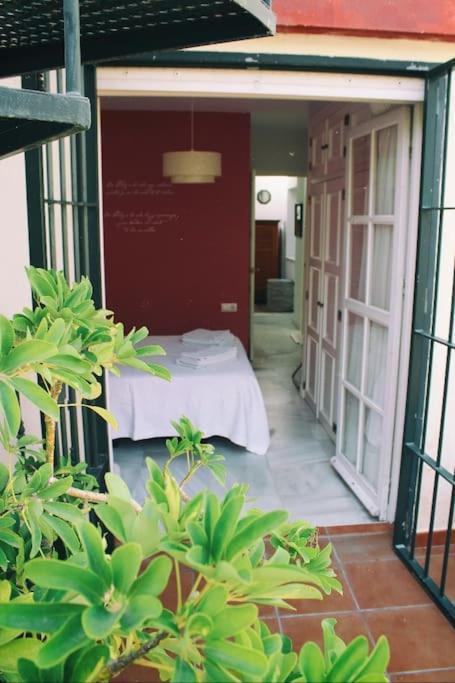 Penthouse With Large Terrace In Center Of Cadiz Apartamento Exterior foto